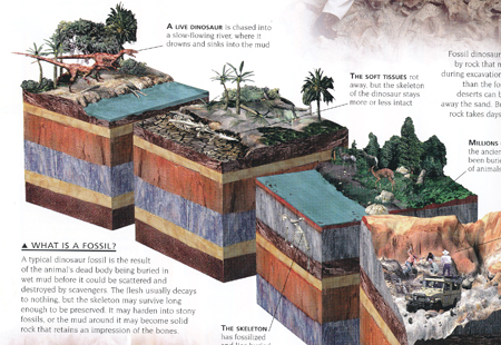 dinoatlas fossil