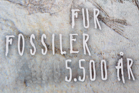 5500 fur450p