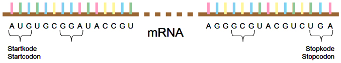 m rna code 678